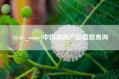 台州中国消防产品信息查询