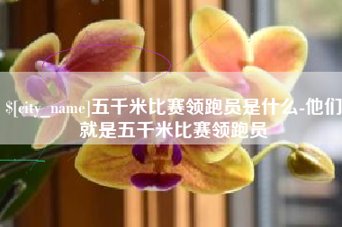 台州五千米比赛领跑员是什么-他们就是五千米比赛领跑员