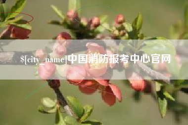 台州中国消防报考中心官网