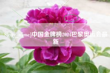 台州中国金牌榜2024巴黎奥运会最新