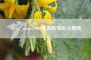 台州2020年消防学院分数线