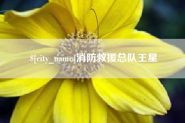 台州消防救援总队王星
