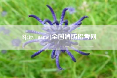 台州全国消防招考网