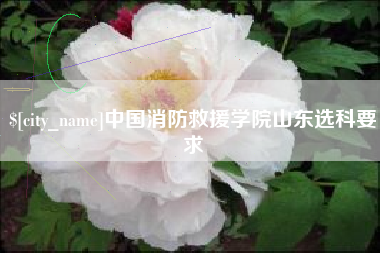 台州中国消防救援学院山东选科要求