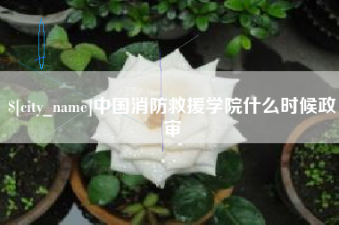 台州中国消防救援学院什么时候政审
