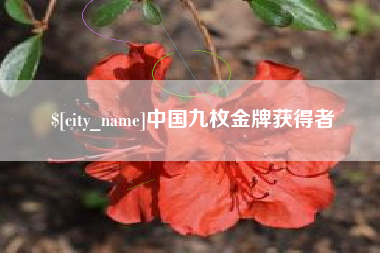 台州中国九枚金牌获得者