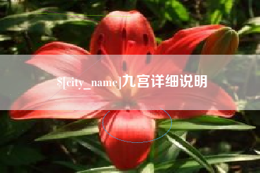 台州九宫详细说明