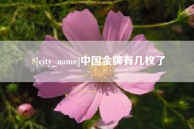 台州中国金牌有几枚了