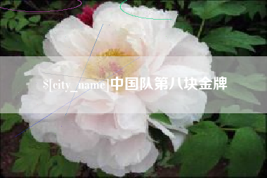 台州中国队第八块金牌