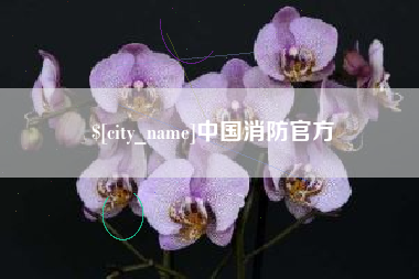 台州中国消防官方