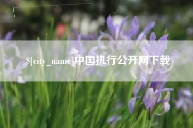 台州中国执行公开网下载