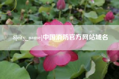 台州中国消防官方网站域名
