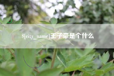台州王子豪是个什么