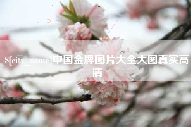 台州中国金牌图片大全大图真实高清