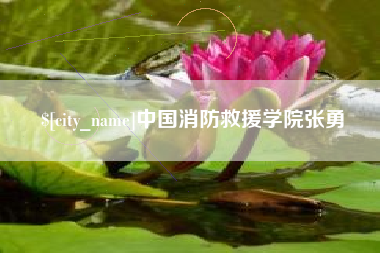台州中国消防救援学院张勇