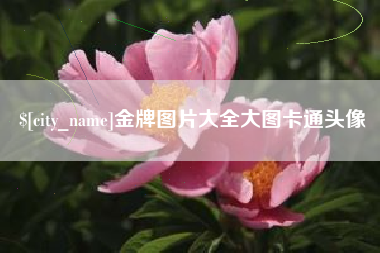 台州金牌图片大全大图卡通头像