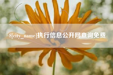 台州执行信息公开网查询免费